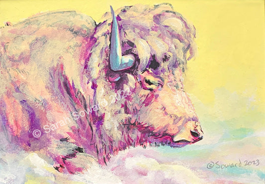 A Bison Dreams in Color, American Buffalo, Original Painting