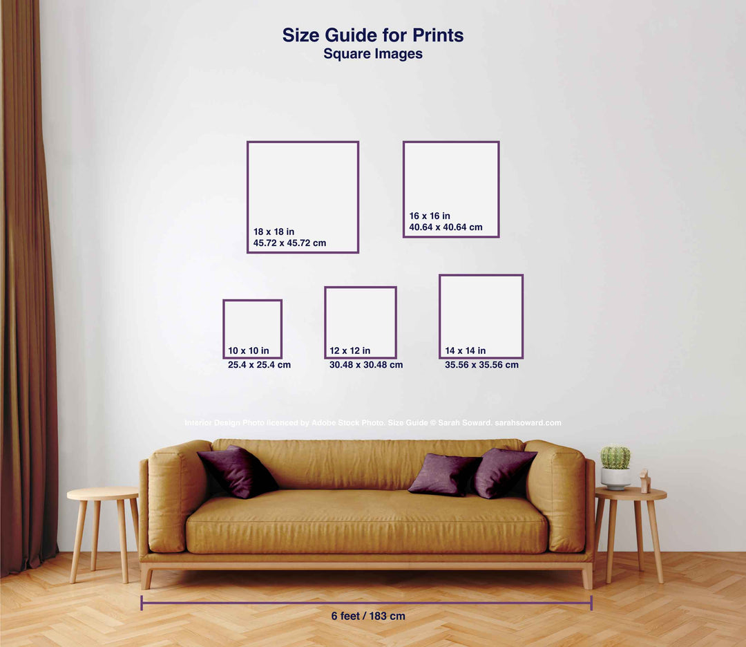 Nubian Capricorn Prints