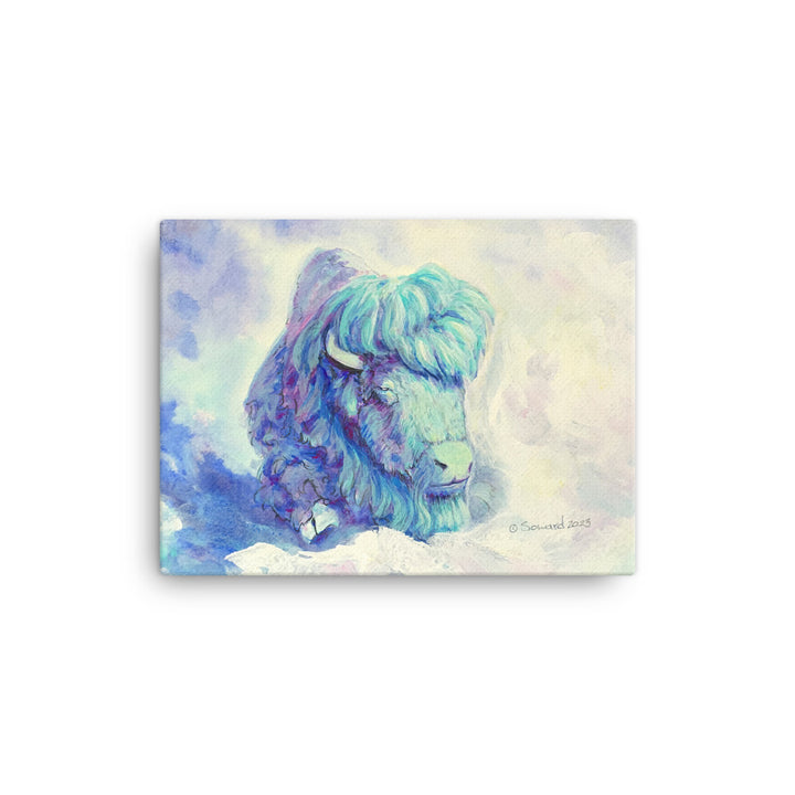 Waking in Aqua, Buffalo/Bison, Canvas Print