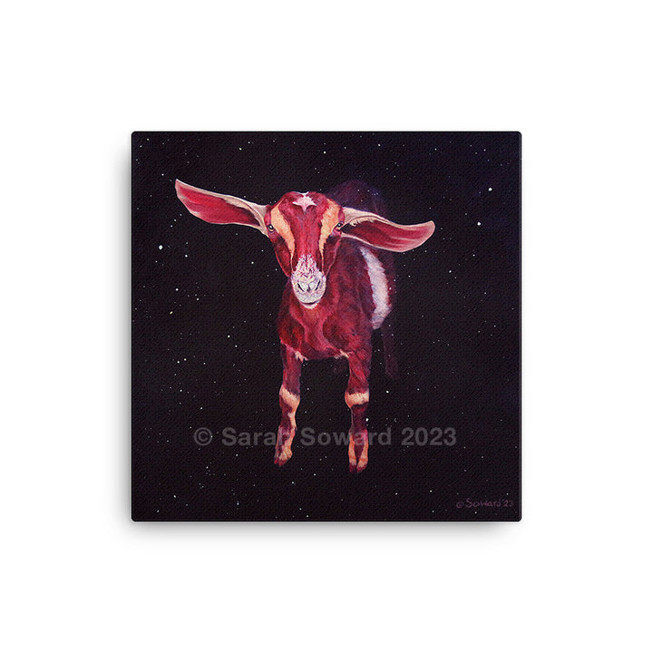 Nubian Capricorn Prints