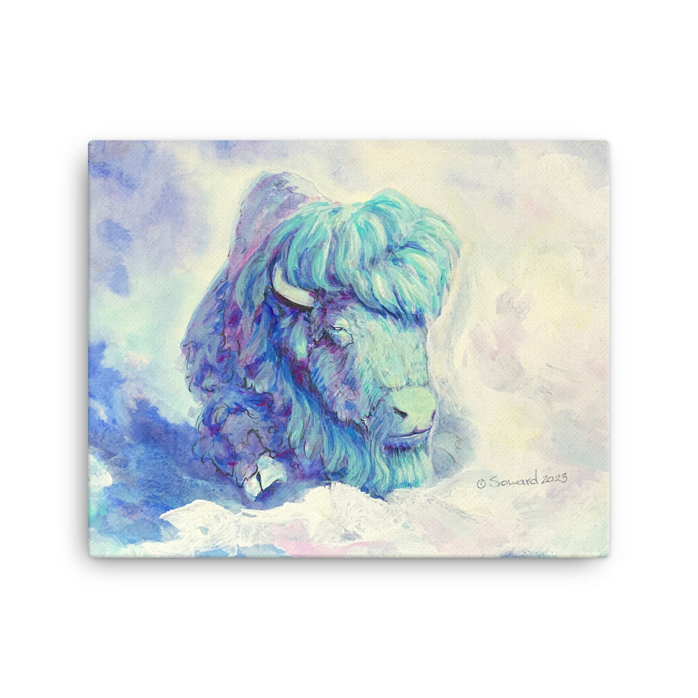 Waking in Aqua, Buffalo/Bison, Canvas Print