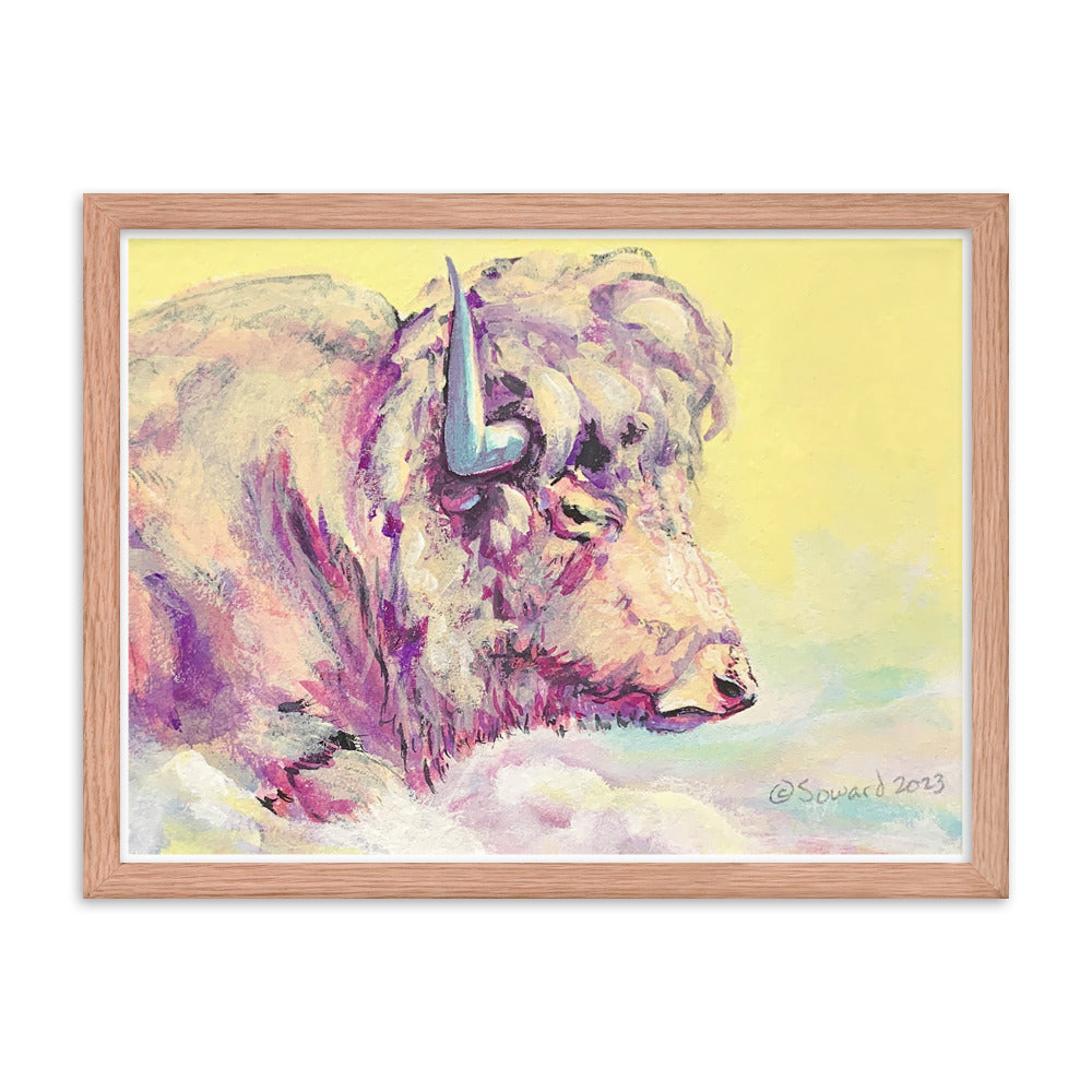 A Bison Dreams in Color, Print