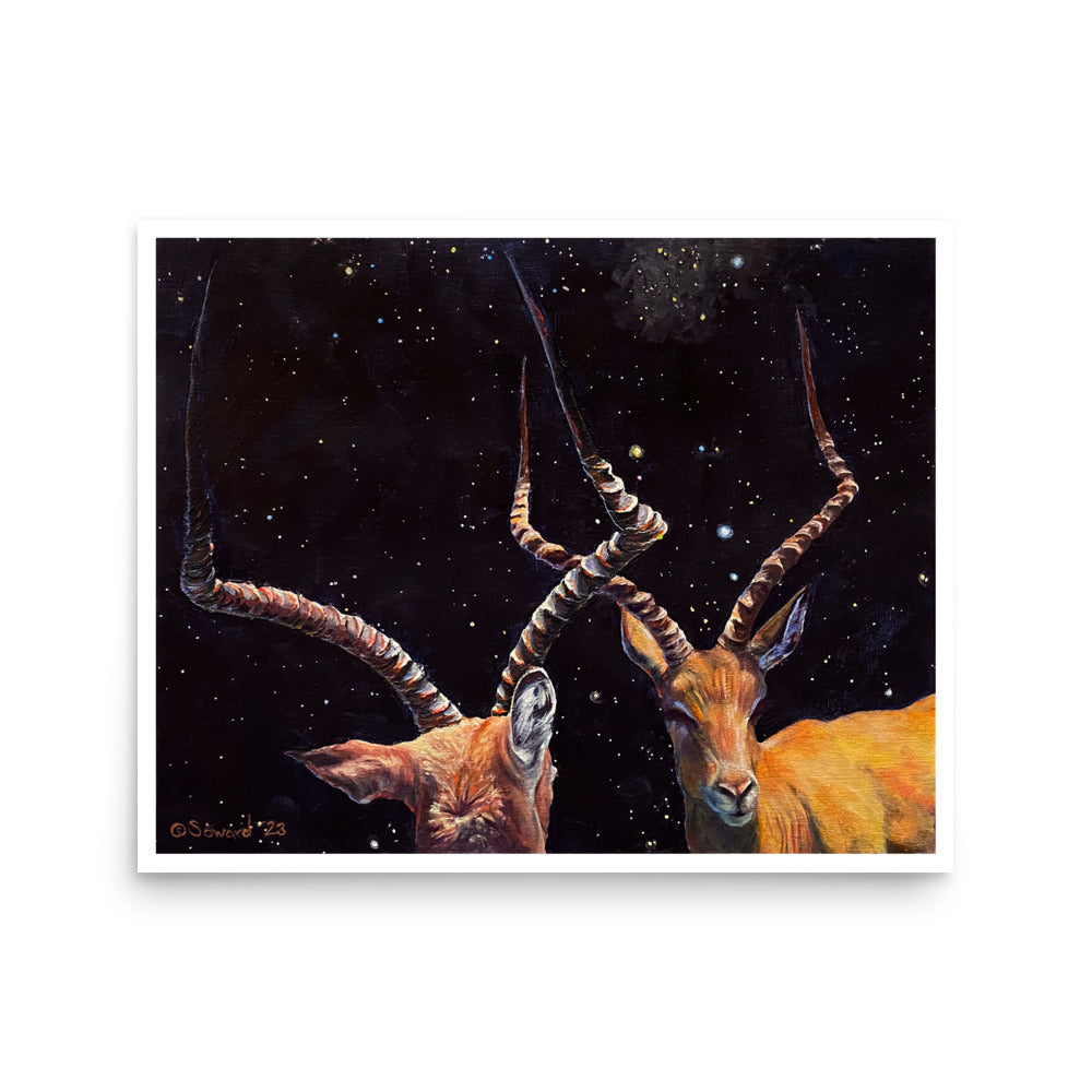 Impala Aries, Prints