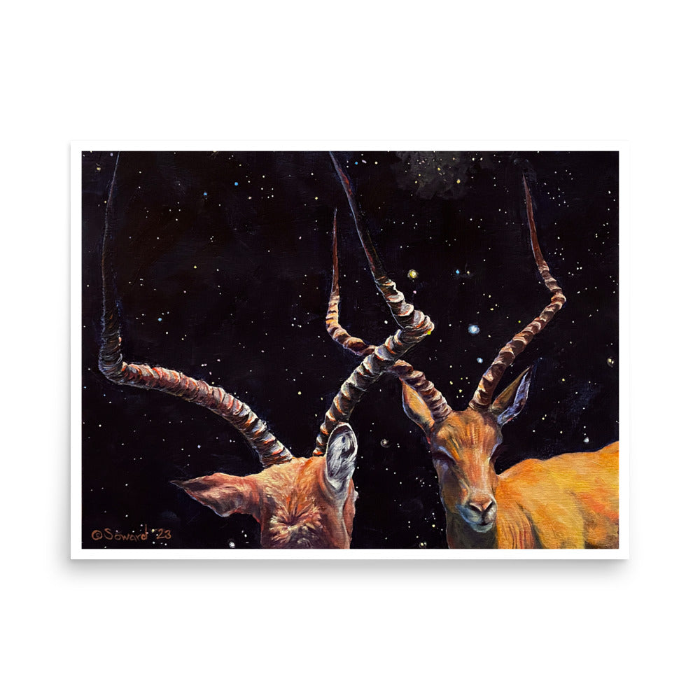 Impala Aries, Prints