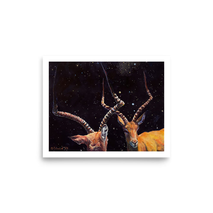 Impala Aries, Prints