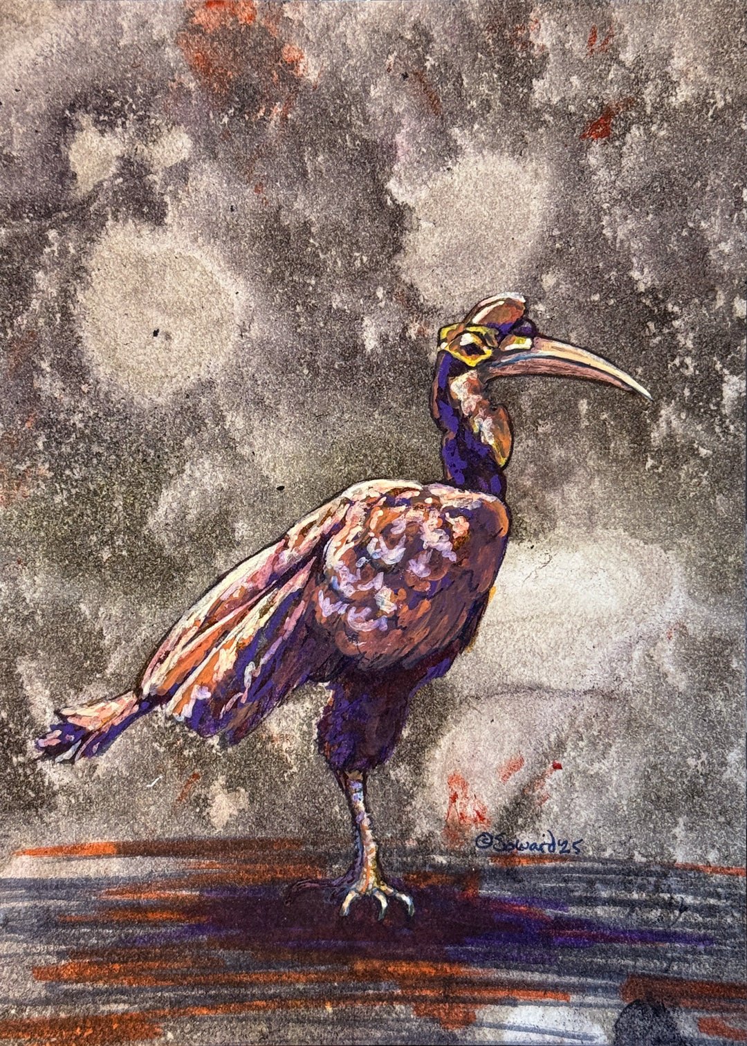 Haute Hornbill, Original Painting