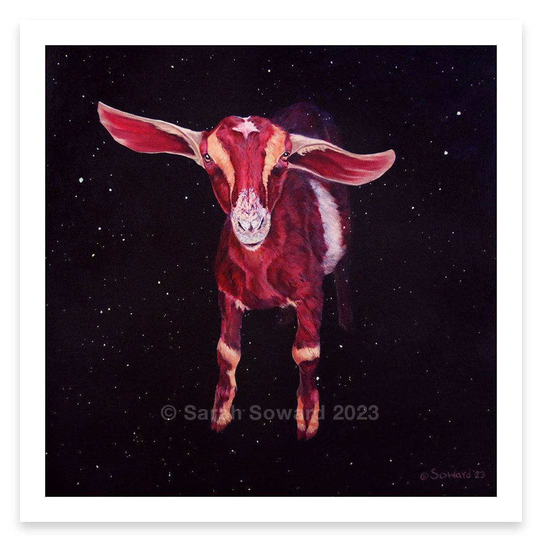 Nubian Capricorn Prints