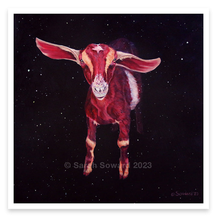 Nubian Capricorn Prints