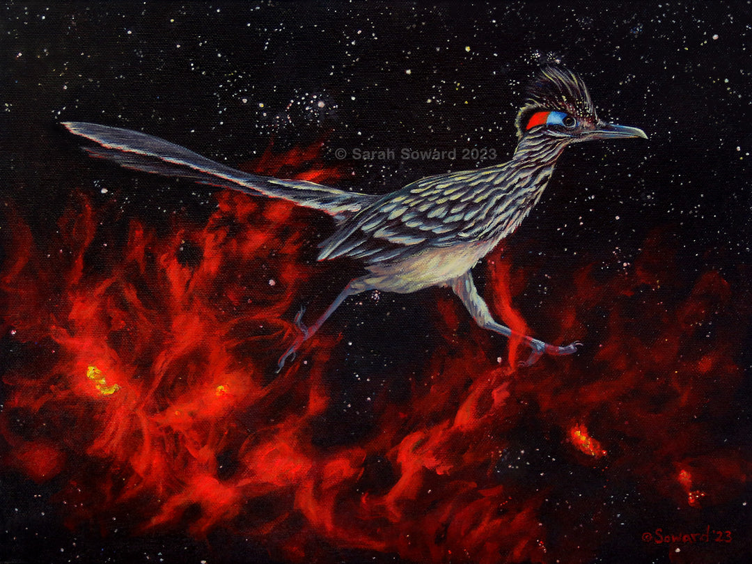 Perseus Roadrunner, Original Painting
