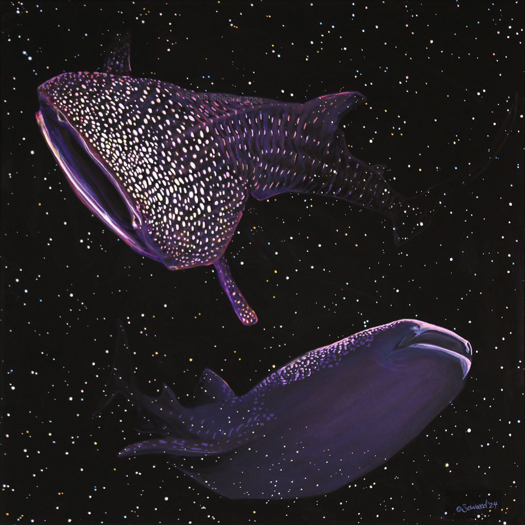 Original acrylic painting of two whale sharks with a starry night background, by Sarah Soward.