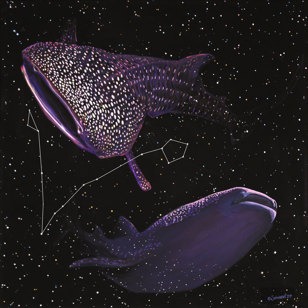 Original painting of 2 whale sharks in a starry night background, by Sarah Soward. This image uses white lines to connect the stars that form the Pisces constellation.