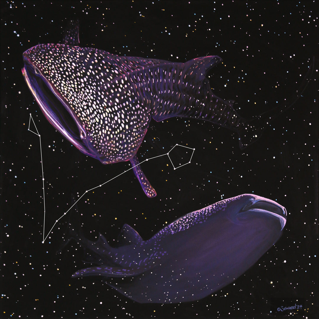 Original painting of 2 whale sharks in a starry night background, by Sarah Soward. This image uses white lines to connect the stars that form the Pisces constellation.