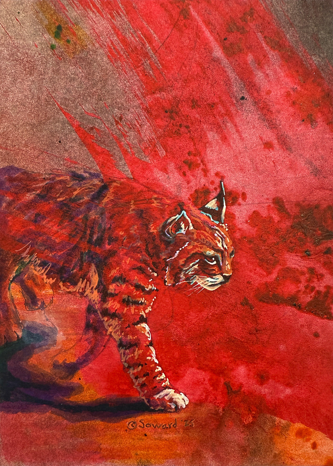 Red Prowler, Bobcat, Original Painting