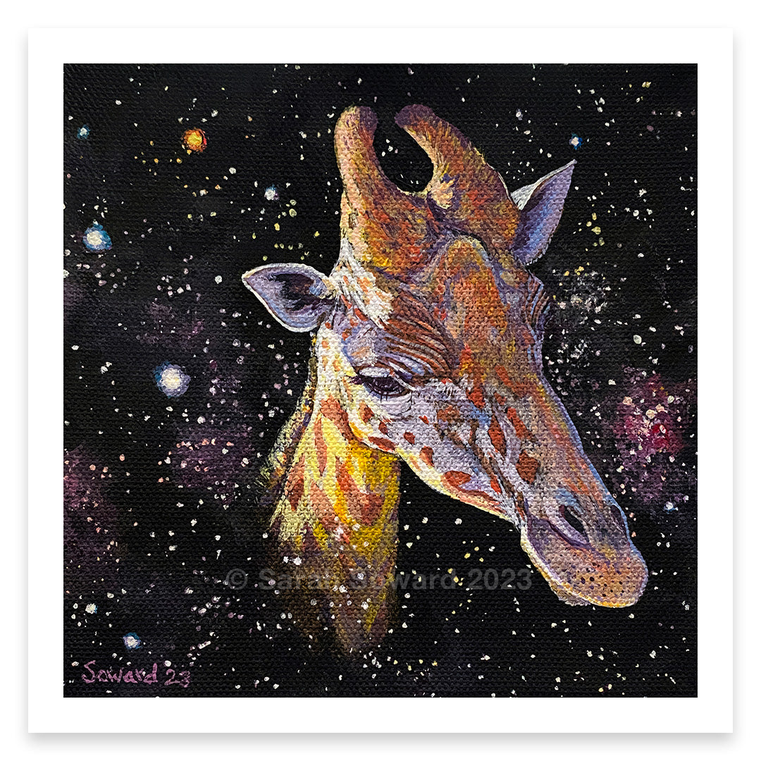 Southern Cross Giraffe, Prints