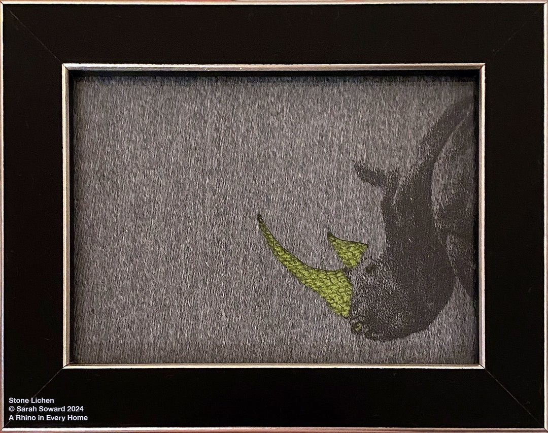 Stone Lichen, Rhino