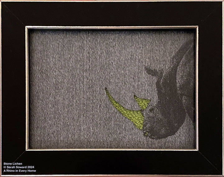 Stone Lichen, Rhino