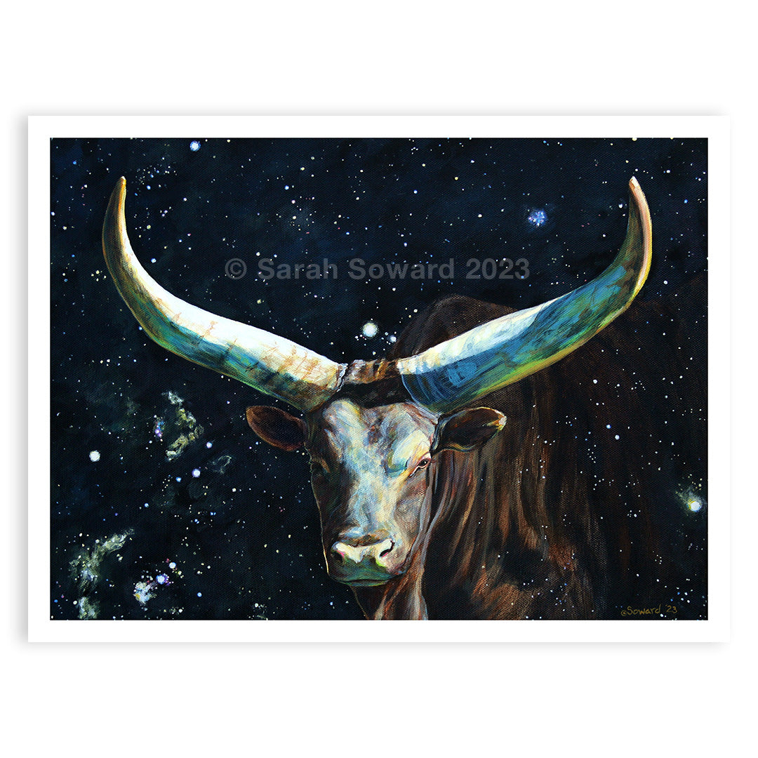 Watusi Taurus, Prints