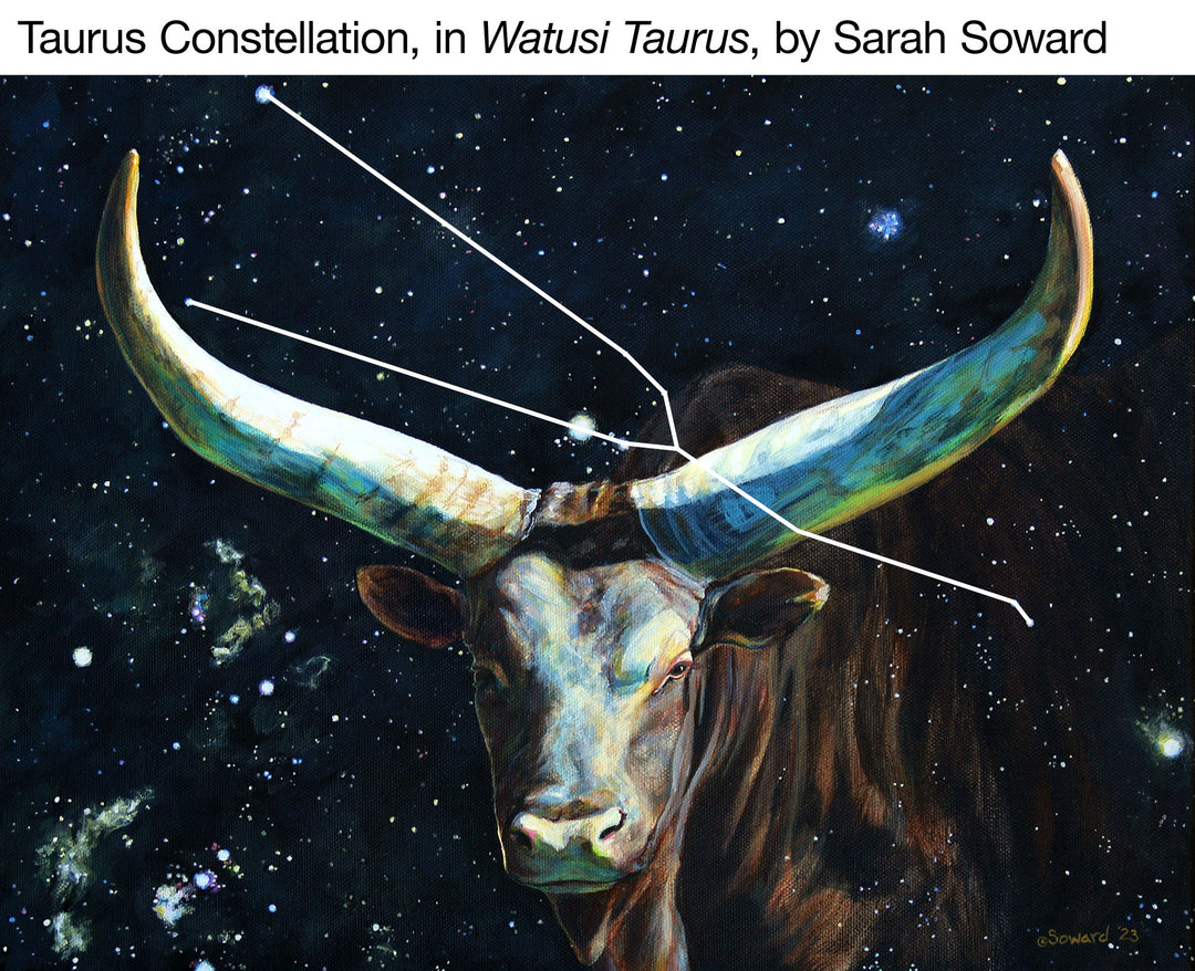 Watusi Taurus, Prints
