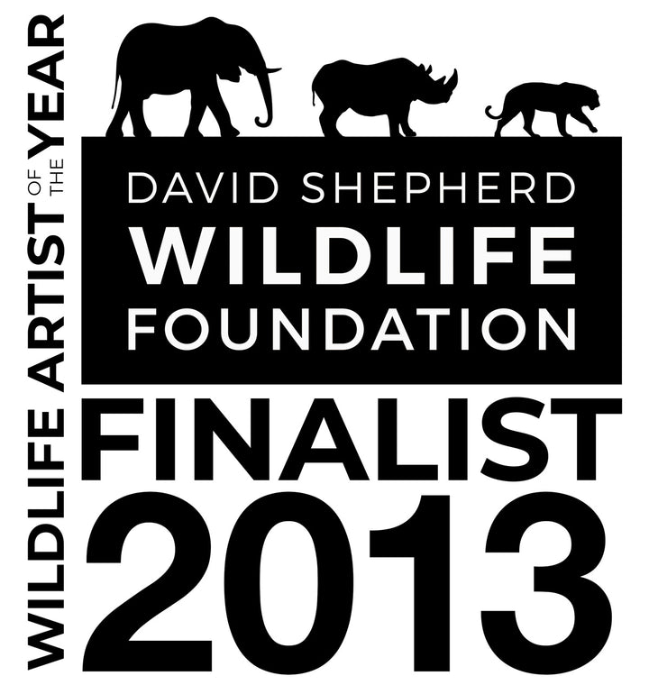 Medicine for the Forest, Limited Edition Print (Last One)