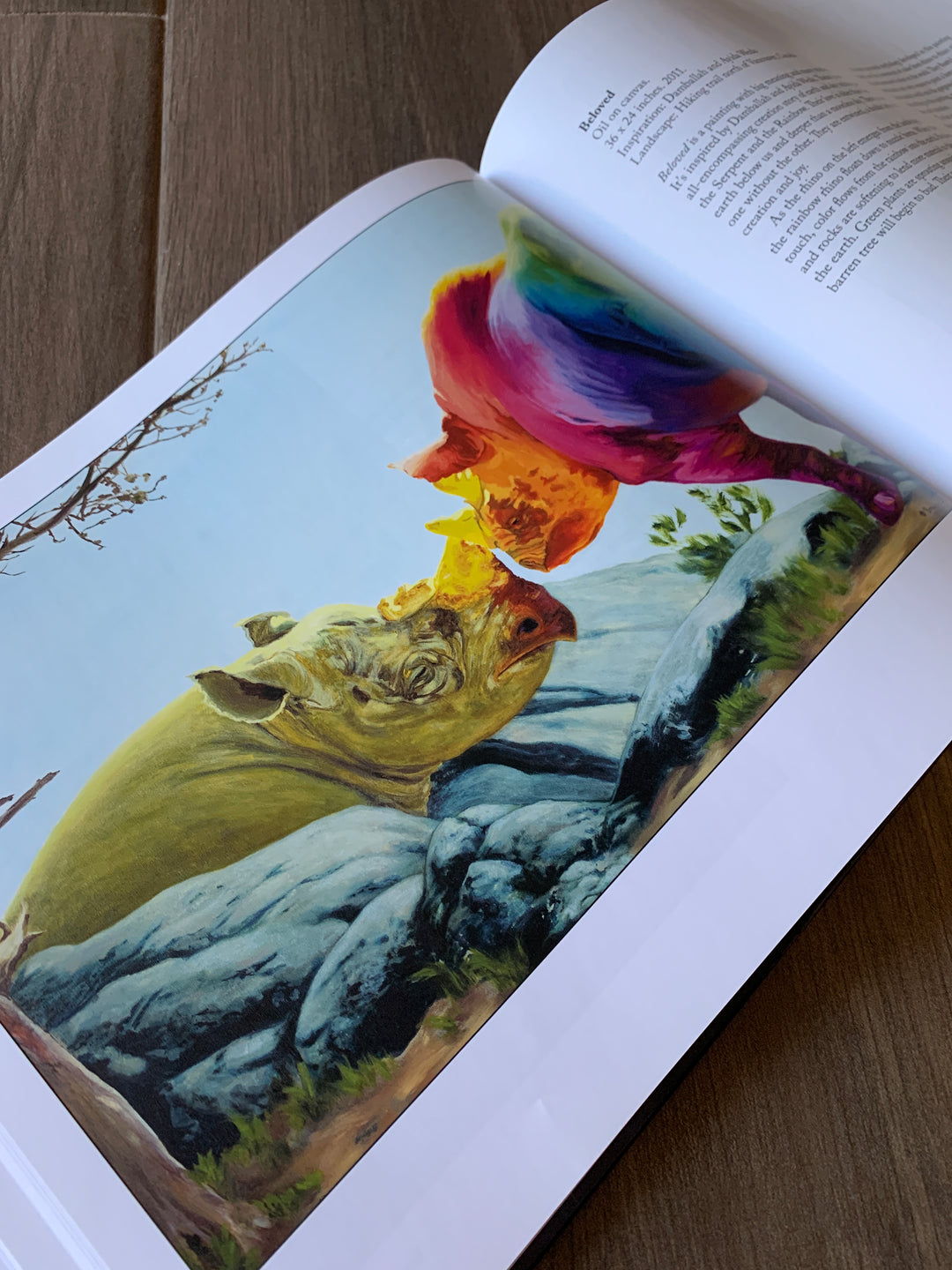 Rhinotopia Beginnings, 2nd Edition