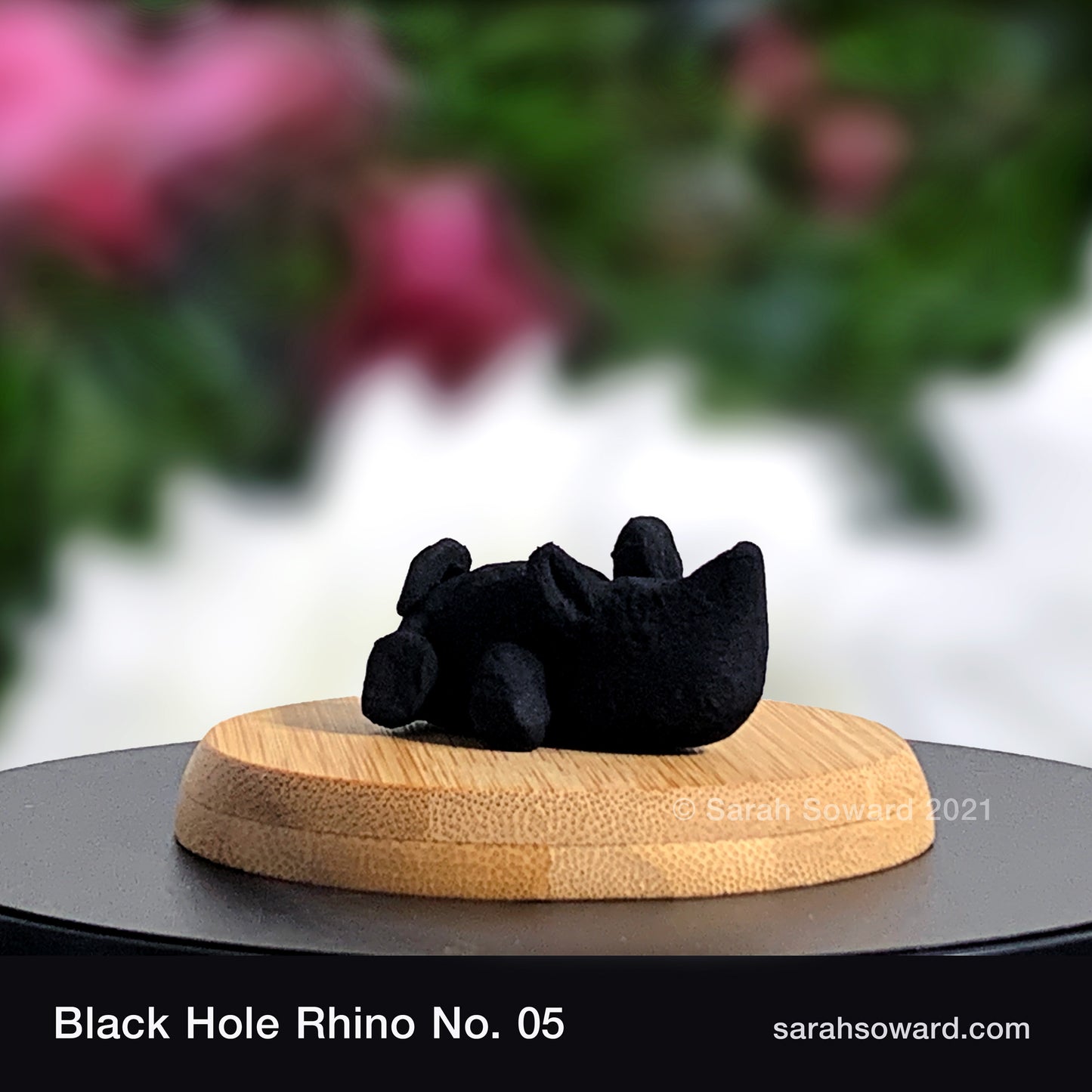 Black Hole Rhino No.5