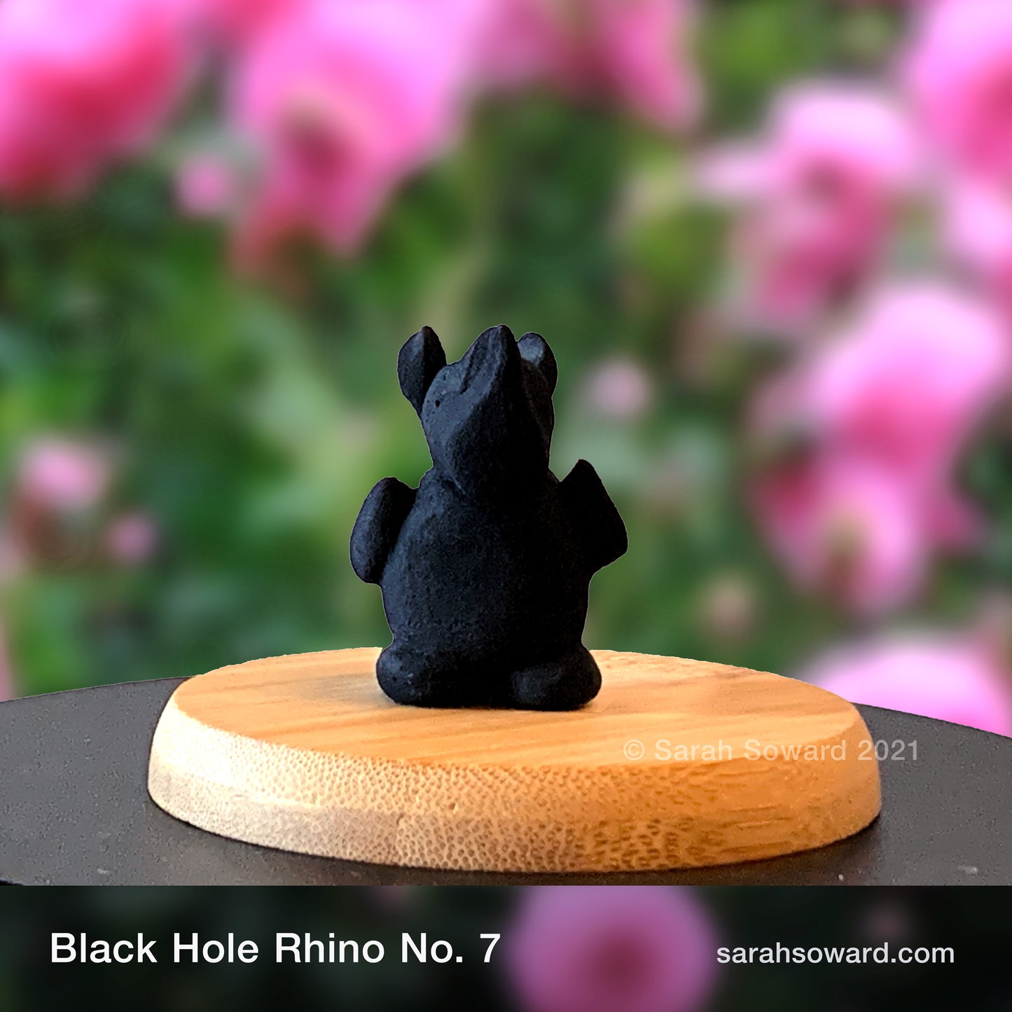 Black Hole Rhino No.7