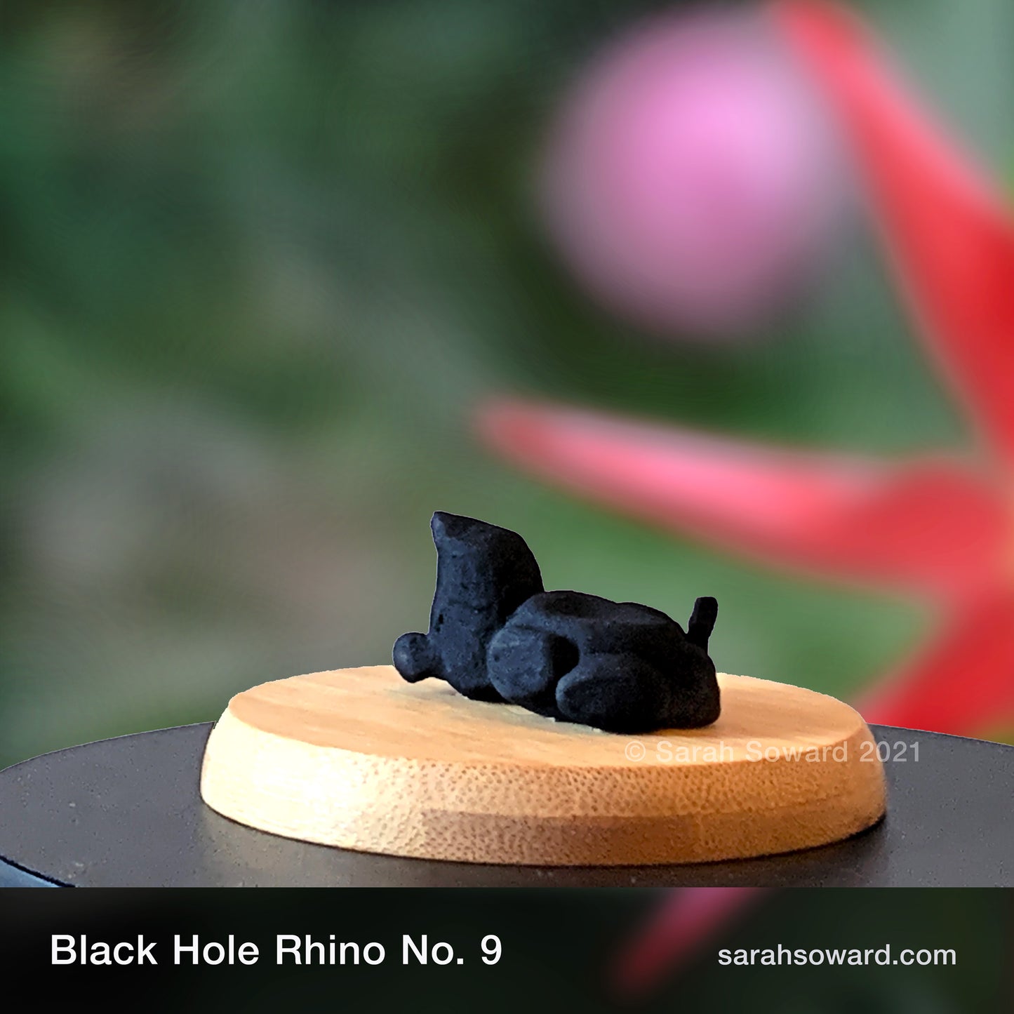 Black Hole Rhino No.9