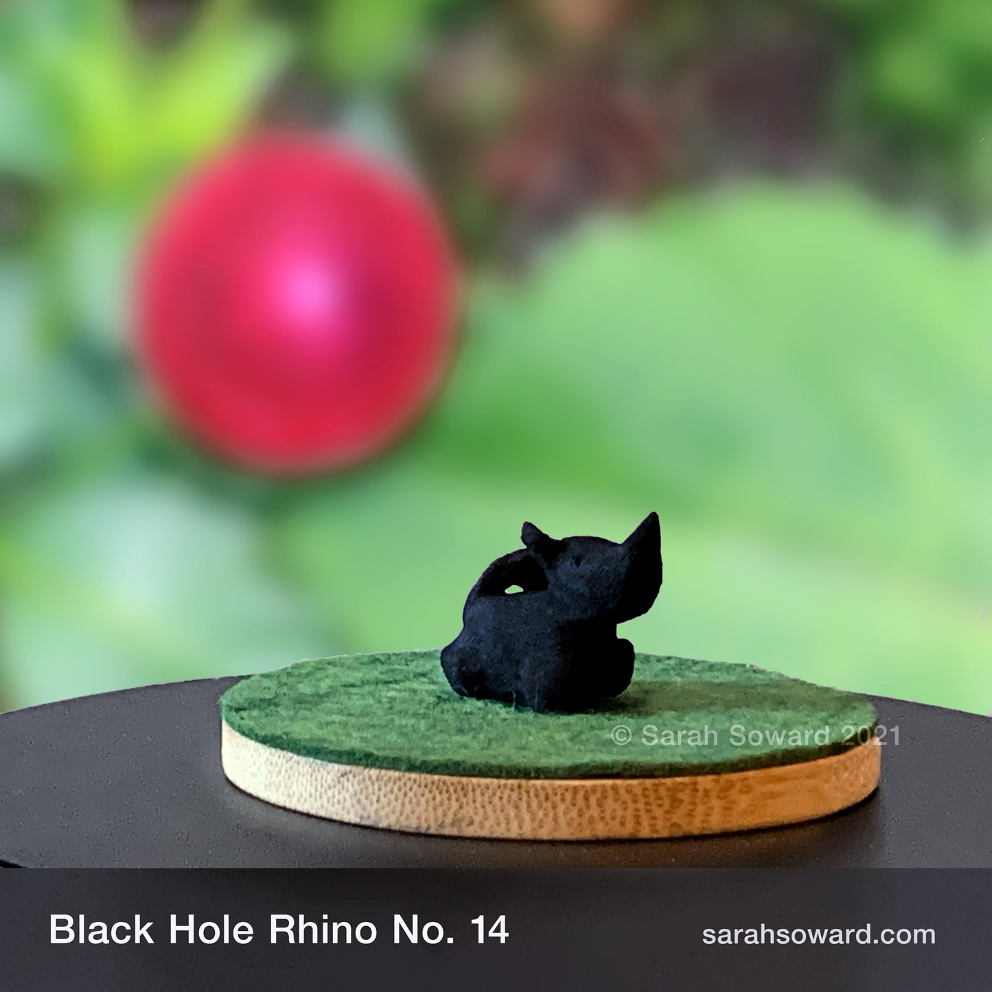 Black Hole Rhino No.14