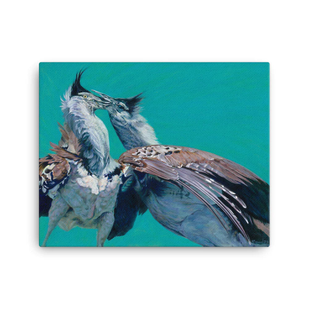 Locked, Kori Bustard Birds, Open Edition Print