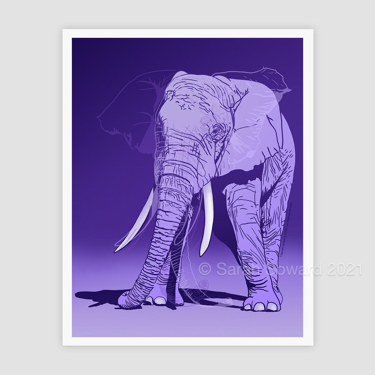 Don't Look Away, Purple Elephant Open Edition Print