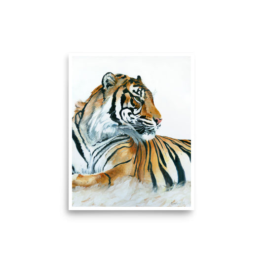 At Rest, Tiger, Open Edition Print