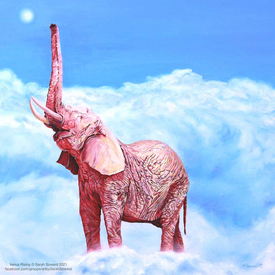 Venus Rising, Original oil painting