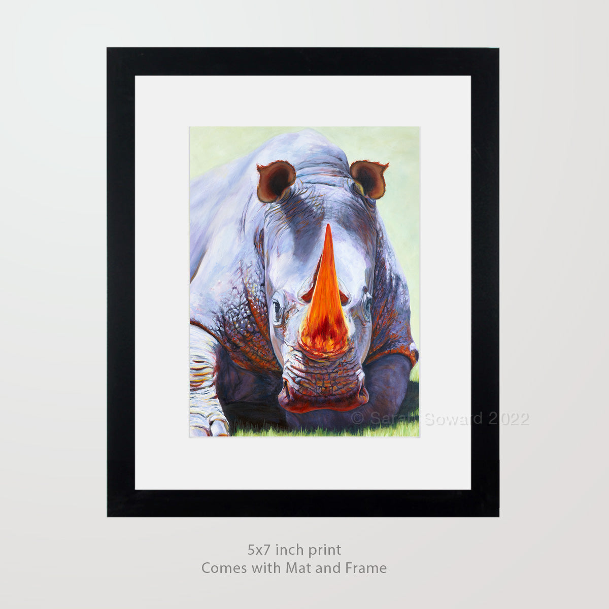 Full Spectrum, Limited Edition Print