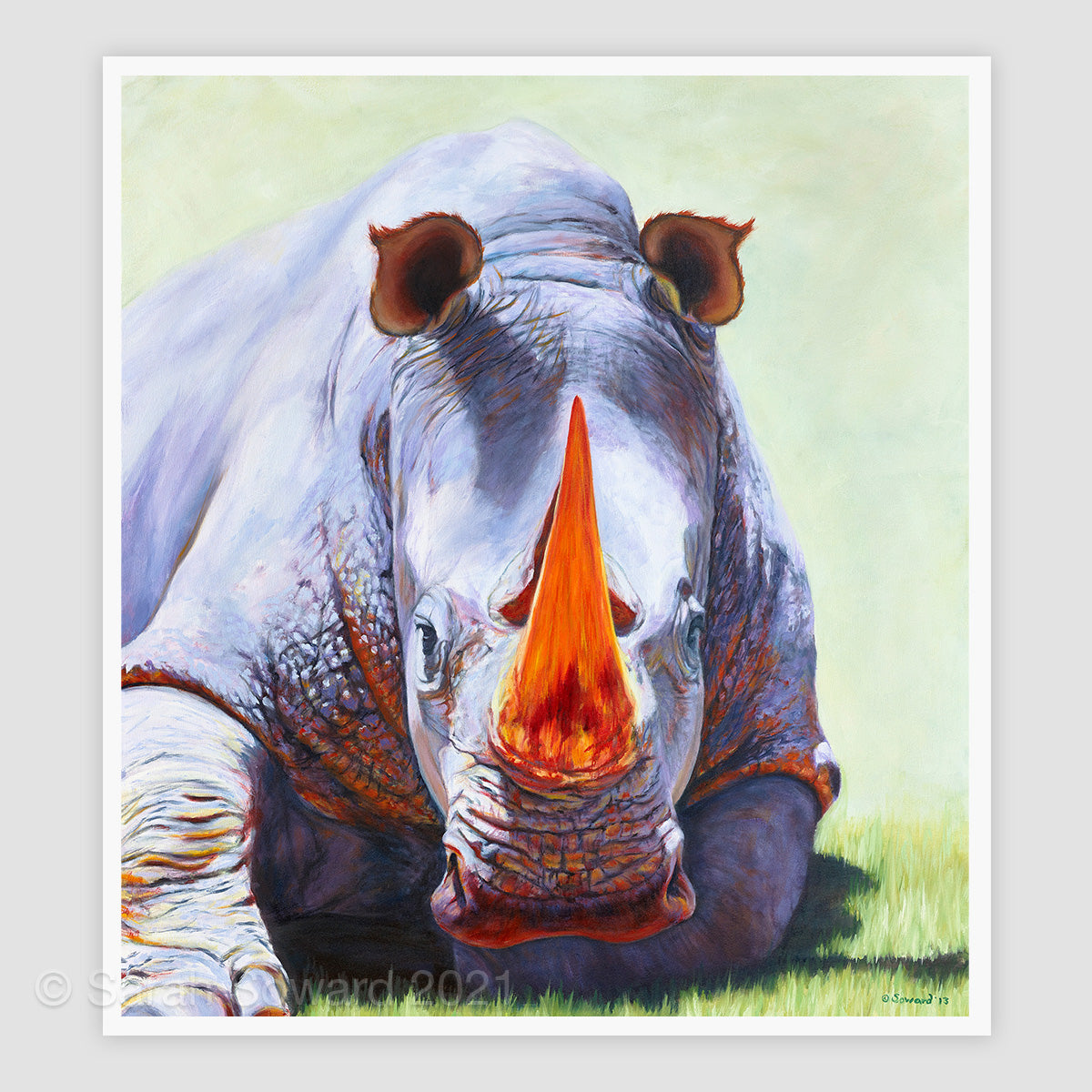 Full-Spectrum, Open Edition Rhino Print
