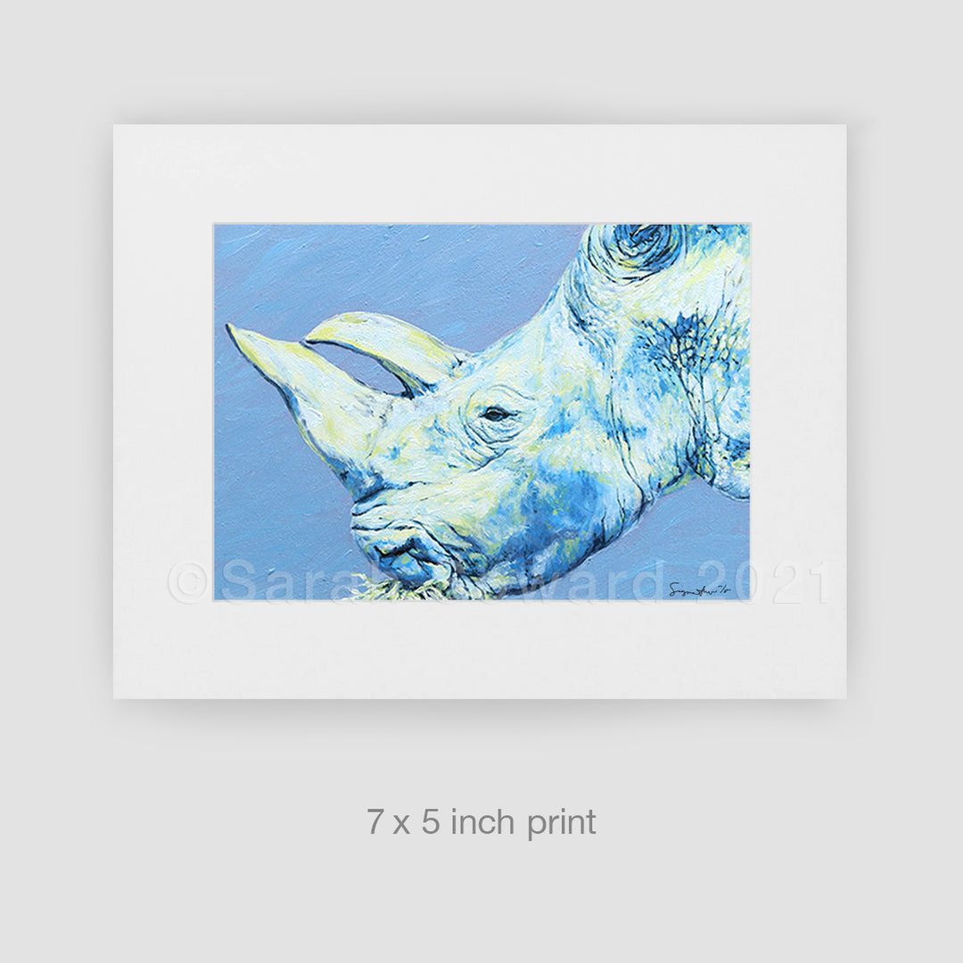 Gracie Rhino, Limited Edition Print (Last One)