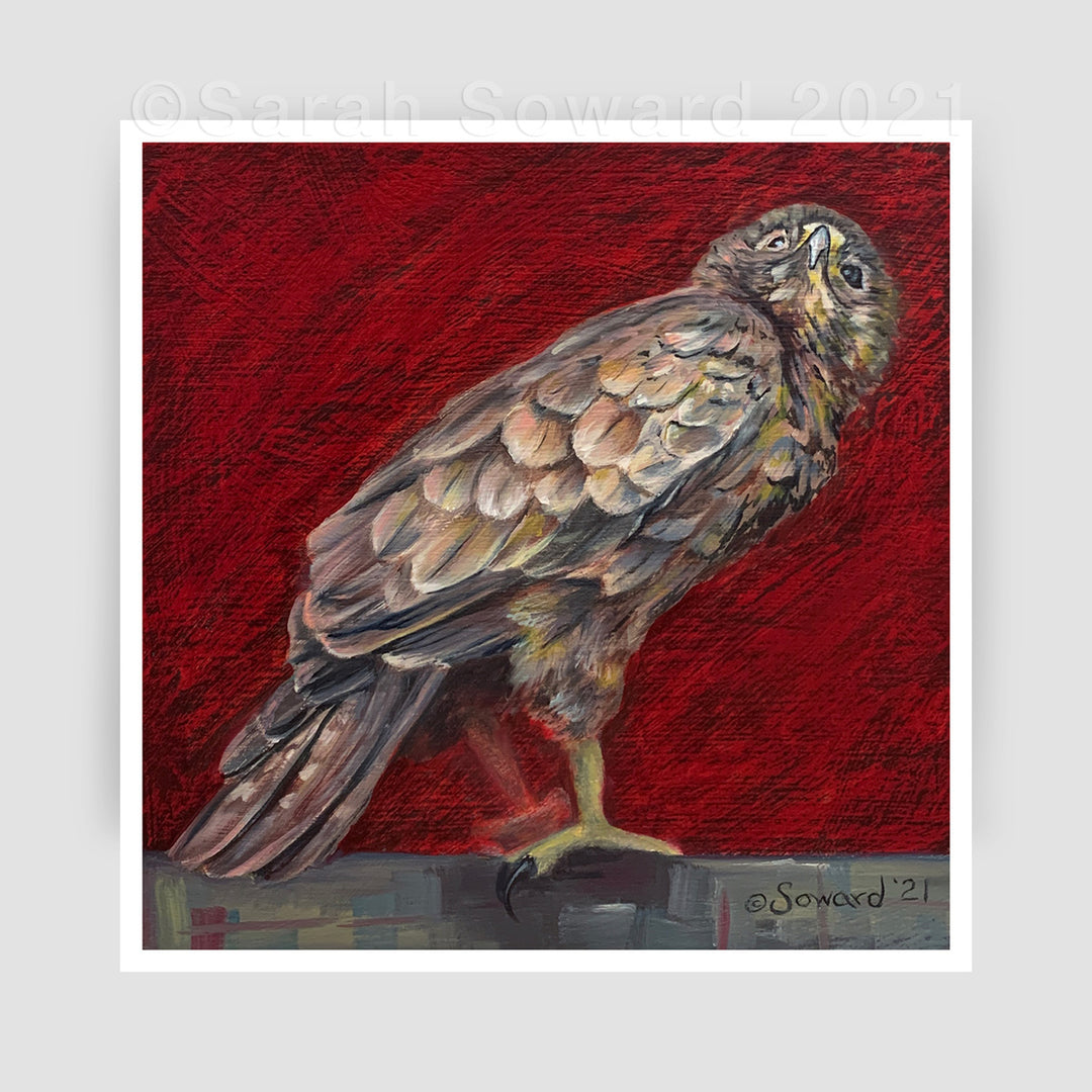 Io in Red, Open Edition Print