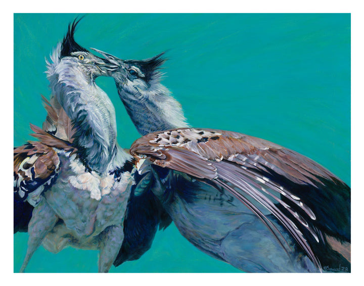 Locked, Kori Bustard Birds, Open Edition Print