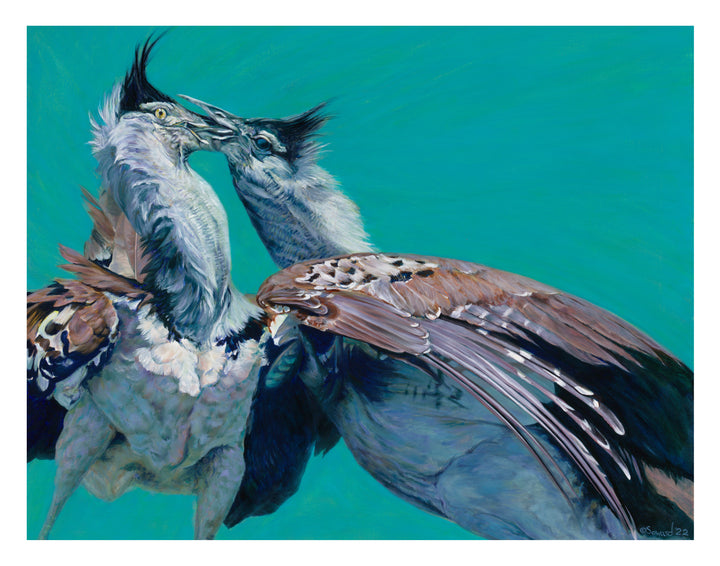 Locked, Kori Bustard Birds, Open Edition Print