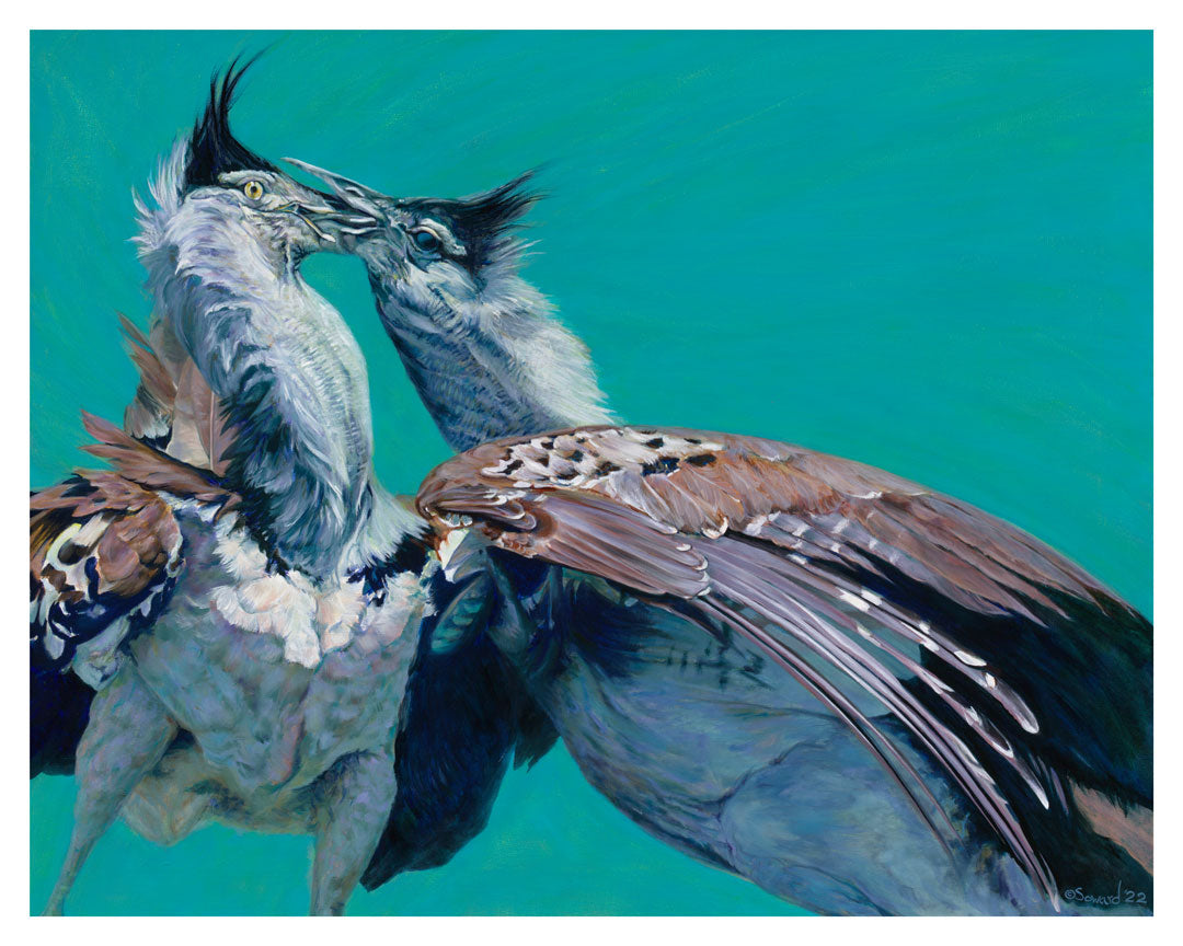 Locked, Kori Bustard Birds, Open Edition Print
