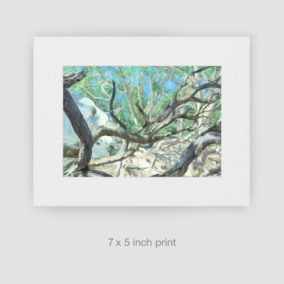 Medicine for the Forest, Limited Edition Print