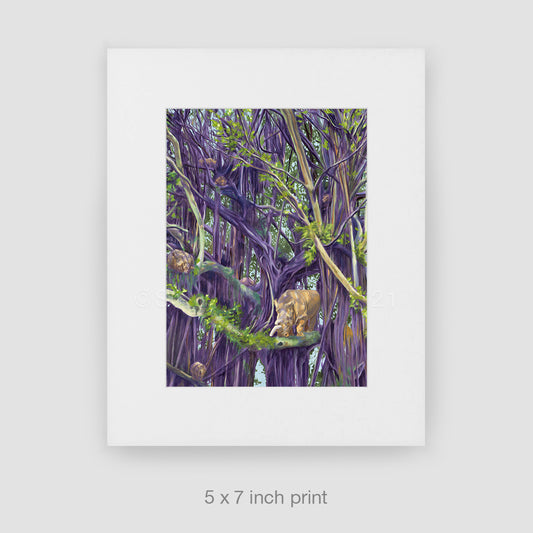 Secluded Spaces, Limited Edition Prints