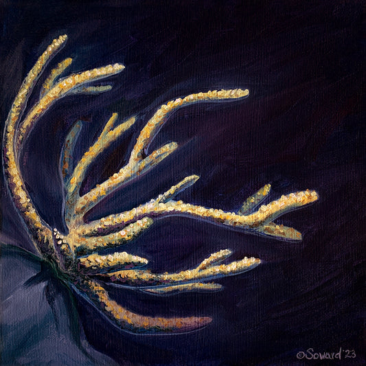My Painting is in Ghost Gallery's Coral Conservation Exhibition