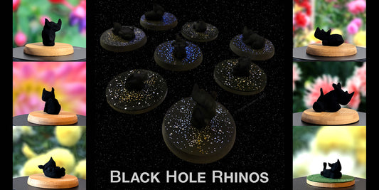 Black Hole Rhinos