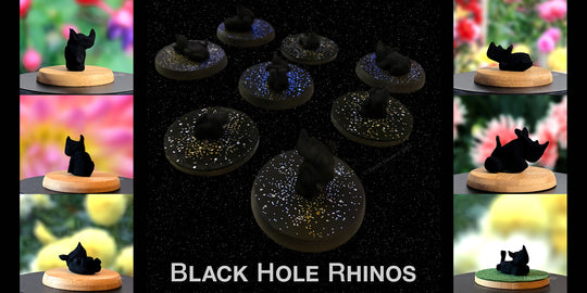 Black Hole Rhinos