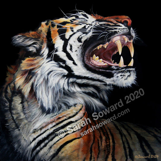 Roar: Tiger in Profile wins an art award!