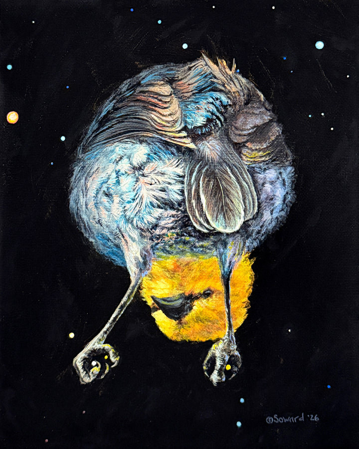 Apus, No Feet?? Verdin, Bird of the Desert Paradise, Original Painting