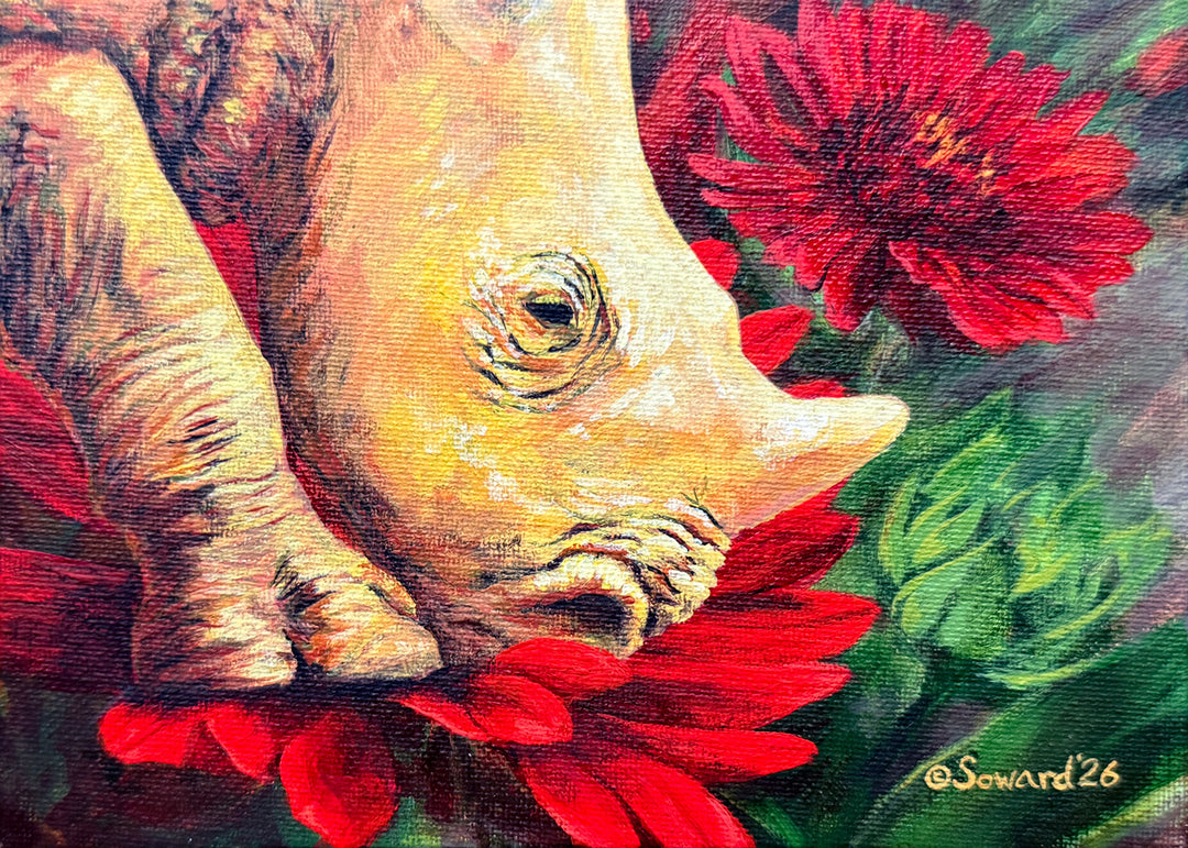 Baby Face, Rhino, Original Painting