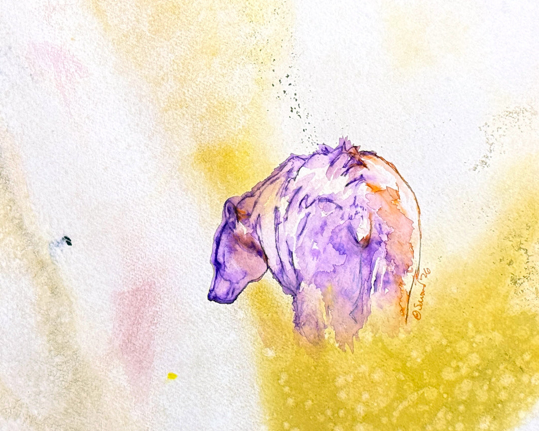 Becoming Sun, Bear, Original Painting