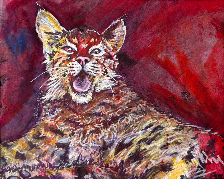 Before the Sneeze, Bobcat, Original Painting