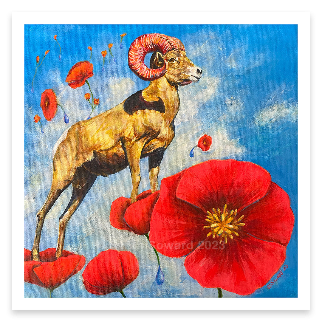 Big Horned Poppies, Print